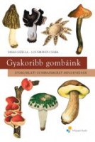 gyakoribb-_gombaink_mk-4386-2